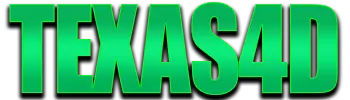 Logo TEXAS4D